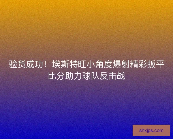 验货成功！埃斯特旺小角度爆射精彩扳平比分助力球队反击战